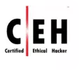 Certified Ethical Hacker